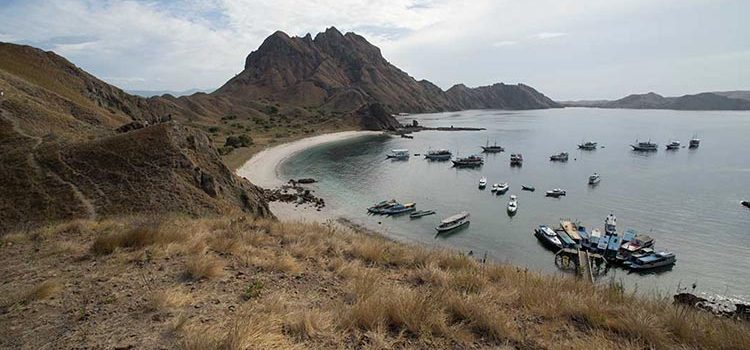 5 Best Komodo Island Tour Packages to Book